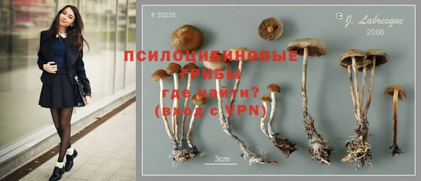 индика Михайловск