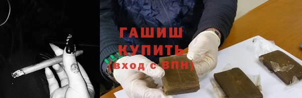 индика Михайловск