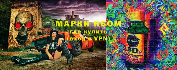 индика Михайловск