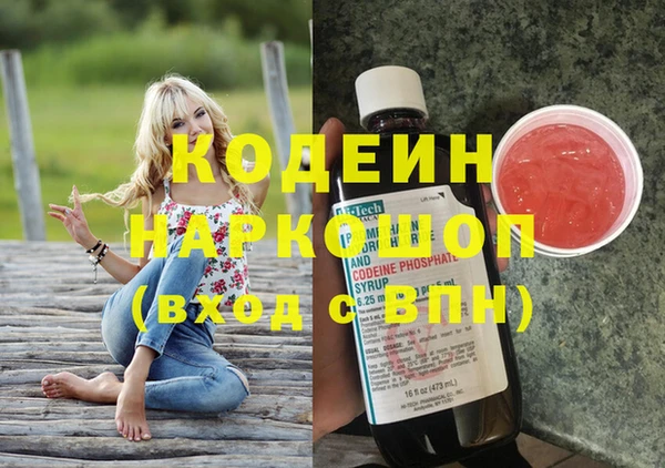 индика Михайловск
