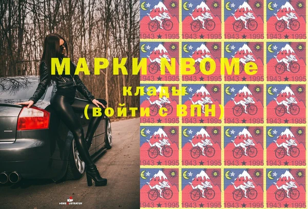 индика Михайловск