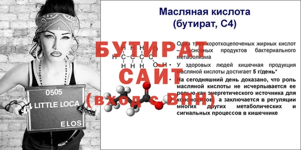 индика Михайловск