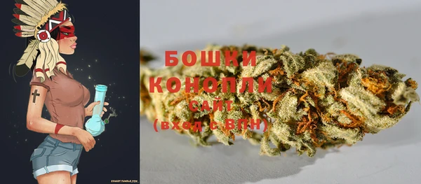 индика Михайловск