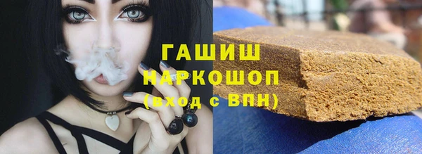 индика Михайловск