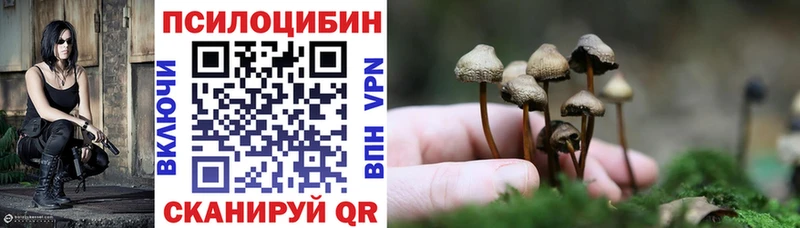Псилоцибиновые грибы Cubensis  Купить  Шимановск 